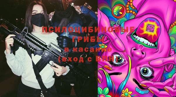 ГАЛЛЮЦИНОГЕННЫЕ ГРИБЫ Богородицк