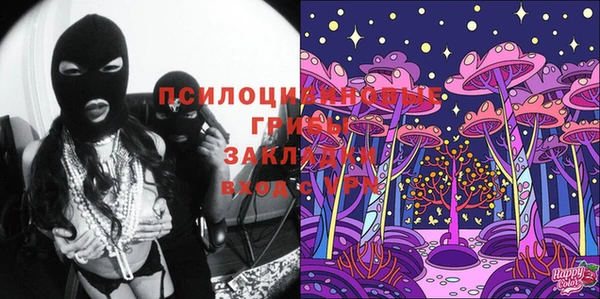 ГАЛЛЮЦИНОГЕННЫЕ ГРИБЫ Богородицк