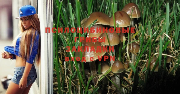 гидра Бронницы