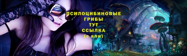 МДМА Богородск
