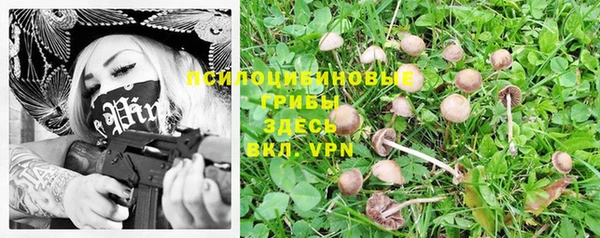 ALPHA-PVP Богданович